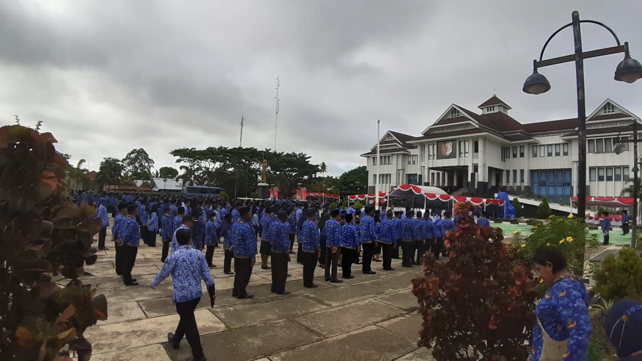 WhatsApp Image 2022 11 29 at 11.04.13